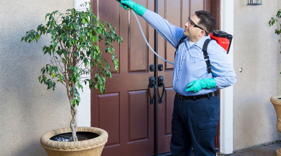 Why choose Cockroach Control Reno NV for cockroach control reno nv in Reno